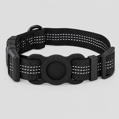 PawsActive DogTrack collar on dog